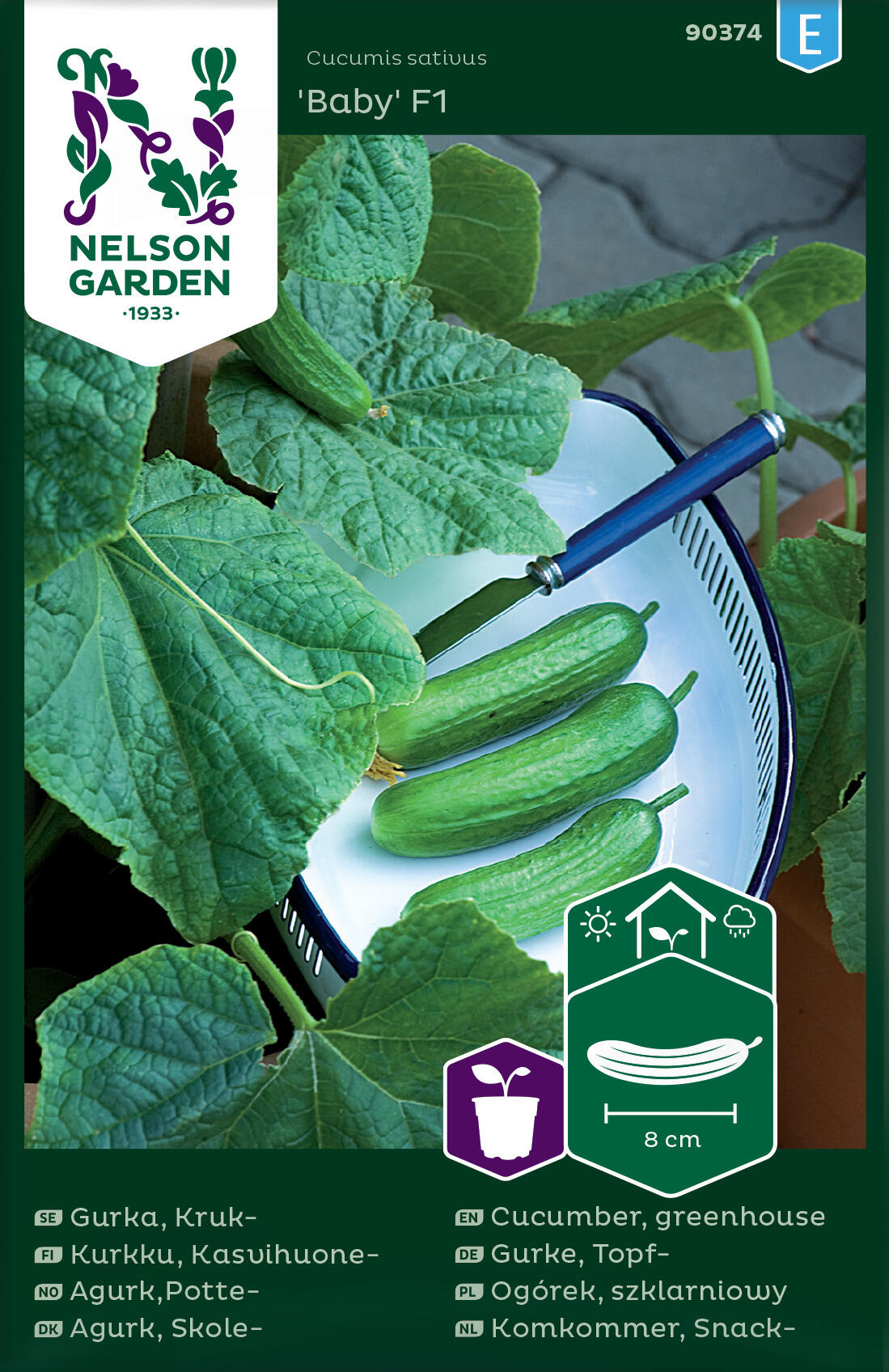 Potteagurk 'Baby' F1